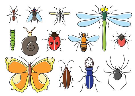 clipart images of insects|insect clip art images.